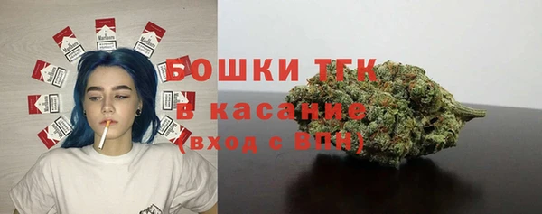 прущие грибы Армянск