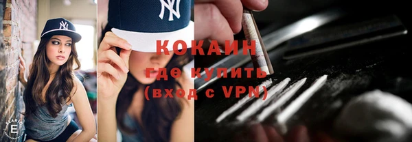 прущие грибы Армянск