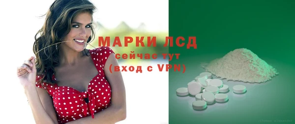 спайс Арсеньев