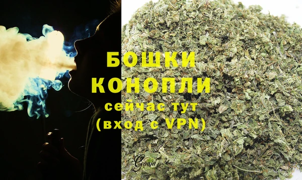 прущие грибы Армянск