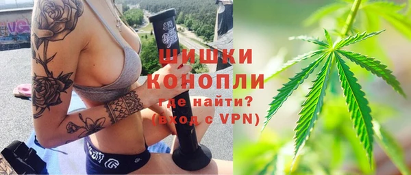 прущие грибы Армянск