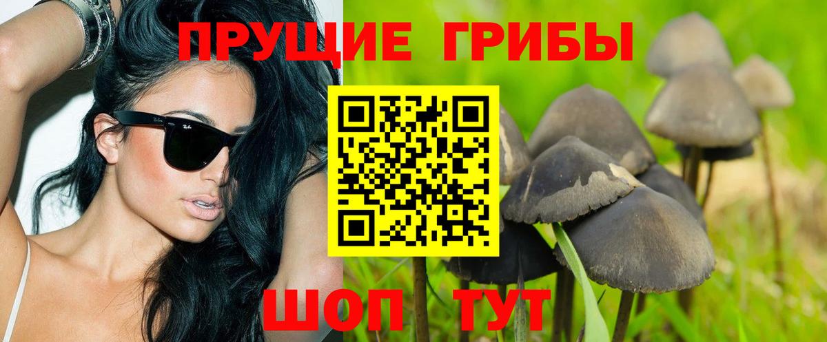Волгодонск  Галлюциногенные грибы мицелий  Вход с VPN 